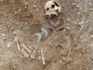 Woman bones