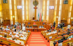 National Assembly Sitting