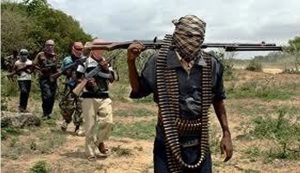Northern Nigerian Militants