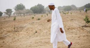 President Muhammadu Buhari
