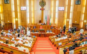 The Nigerian Senate Sitting