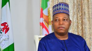 Gov. Kashim Shettima
