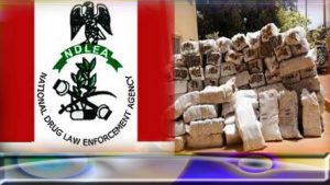 National Drug Law Enforcement Agency, NDLEA