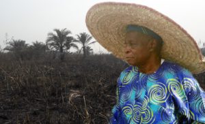 Falae inspecting his farm