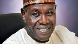 Ambassador Babagana Kingibe, CFR
