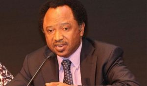 Senator Shehu Sani