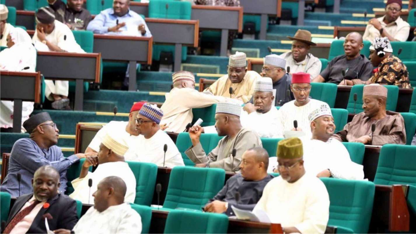 difference between nigerian senate and house representative