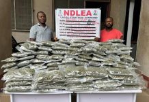 National Drug Law Enforcement Agency Arrests Wanted Suspect, Recovers Large Drug Shipment, Forex In Lagos