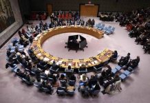 United Nations security council votes to endorse Donald Trump’s Gaza plan