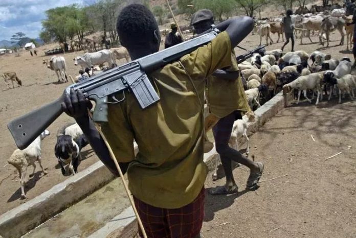 Fulani Herdsmen