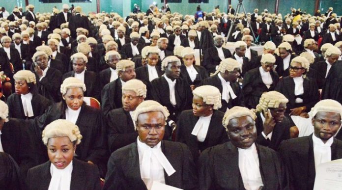 Cross-section of young lawyers