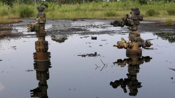Shell-Nigeria: Environmental Pollution in the Niger Delta