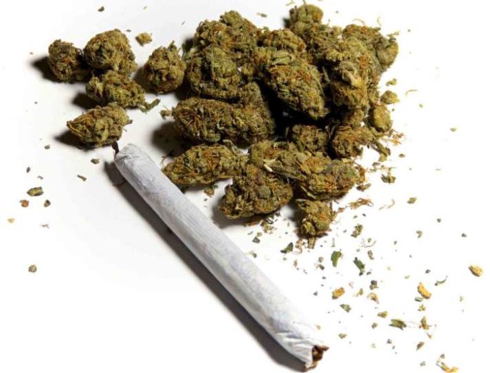 Indian Hemp