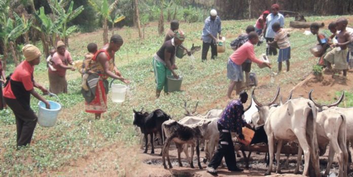 Herders and farmers