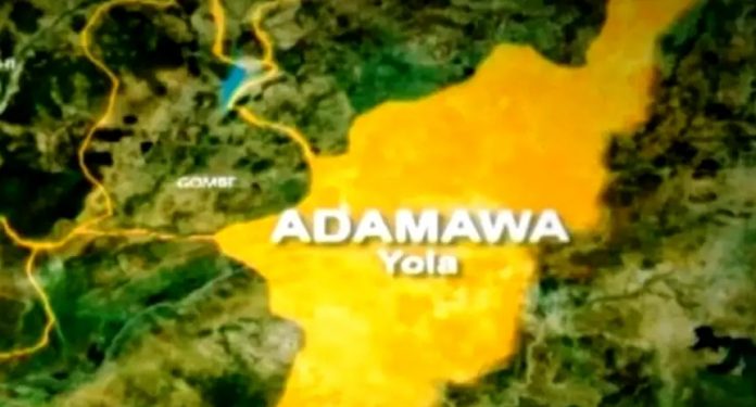 SAVE_20220121_092406