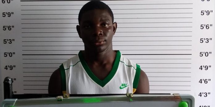 BFCB80E0-ADB7-4F9E-B616-A585C456CC5A