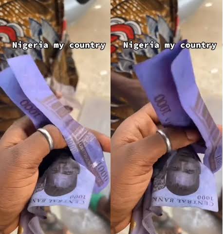 BE44297C-1C08-451B-AE19-D4ED94251804