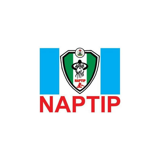 images - 2023-10-04T161610.137