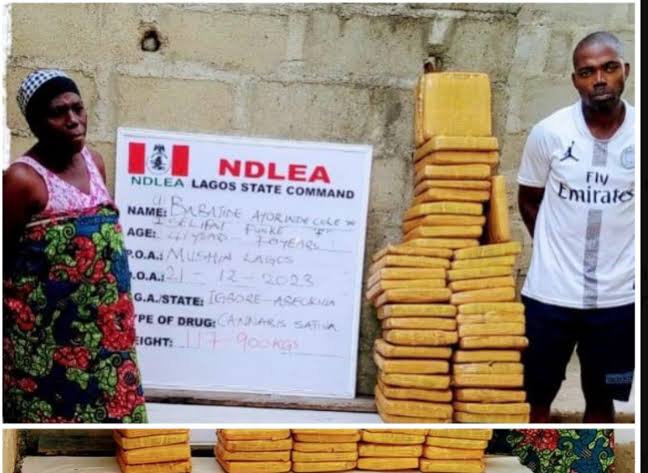 images - 2023-12-25T061340.627