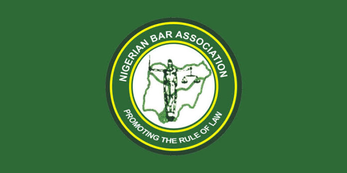 images - 2024-02-20T065033.911