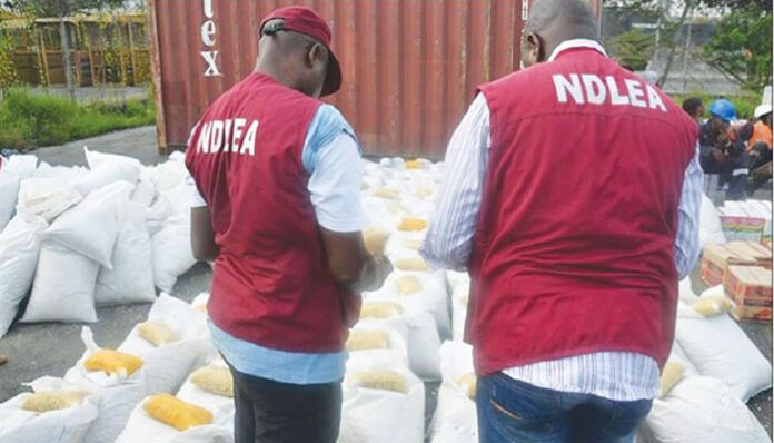 NDLEA-OFFICERS