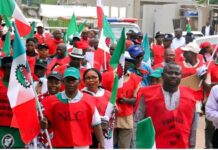 Electricity tariff hike: Labour demands reversal as protests begin today