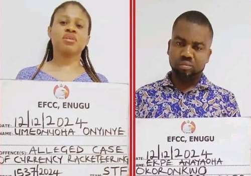 XGltYWdlc1xjb250ZW50XDEyMTcyMDI0NzA1MzRfMDVkNDNjNjNjMTBlNGYwNzhmNDU5MjI5YmNiZDM4MzcuanBnfDUwMHwzNTB8