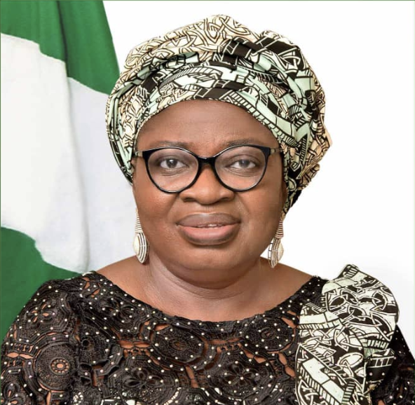 Accountant-General-of-the-Federation-Dr-Oluwatoyin-Madein