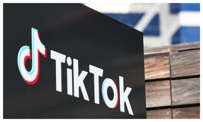 MixCollage-14-Jan-2025-12-04-PM-7975