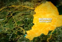 Soldiers kill 16 terrorists, rescue 11 hostages in Borno State