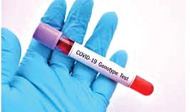 covid-19-genotype