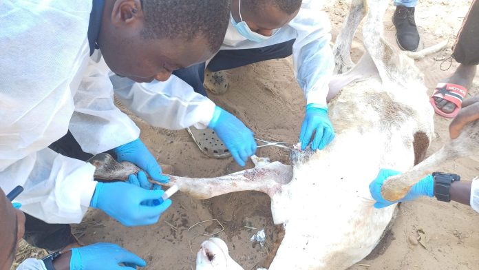 webinaire-14fdd0ed70e2e4c839cd45e35c1a06925-2048x1152