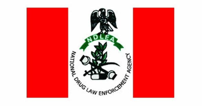 NDLEA-1-768x404-1