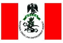 NDLEA Takes Over 80-Room Lagos Hotel, Vehicles After Court Forfeiture Order