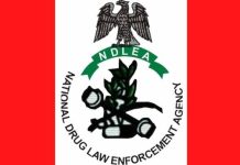 NDLEA Intercepts Cocaine Hidden In Mirrors, Lipsticks