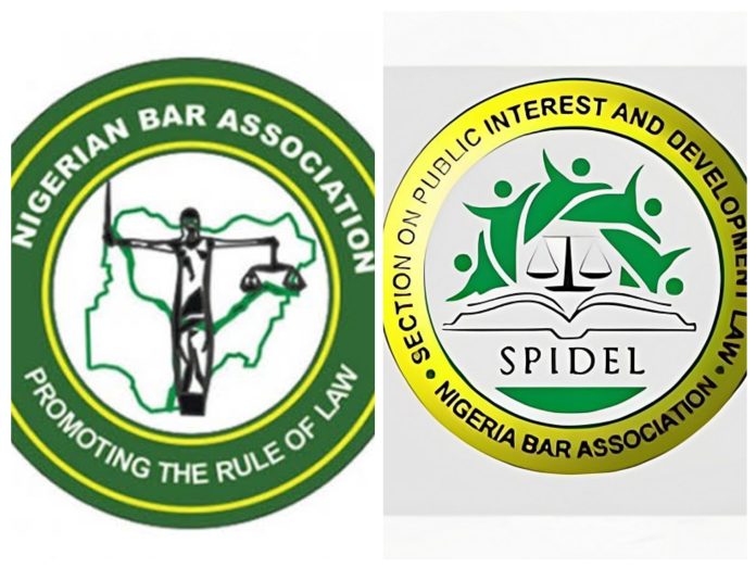 20250904_182956-COLLAGE