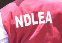 NDLEA Seizes ₦5.3bn Worth of Cocaine Hidden In Lace Fabrics, Arrests Three Suspects