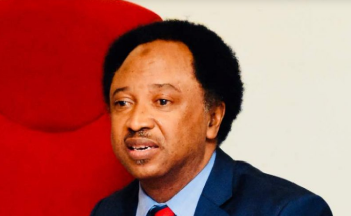Shehu-Sani-e1691594362165