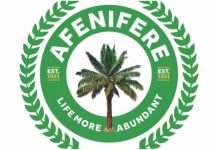 Conventional war not answer to Nigeria’s terrorism problem – Afenifere