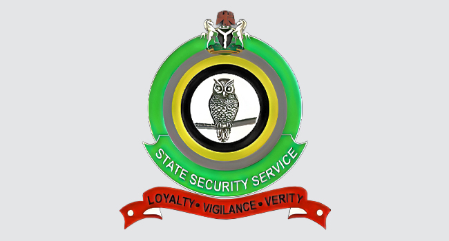 DSS_Logo
