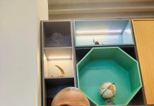 Police summon TMT Travels CEO over alleged visa fraud