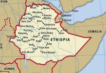 Africa Centres for Disease Control and Prevention confirms Marburg outbreak in Ethiopia