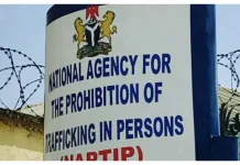 National Agency for the Prohibition of Trafficking in Persons rescues 221 victims of human trafficking in Jigawa