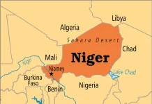Niger junta suspends hundreds of NGOs in latest crackdown
