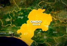 N36m fraud: Suspected fake Ondo cocoa farmer to face trial