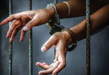 Adamawa Police arrests suspected human trafficker, rescues 2 female victims