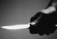 Civil defence officer stabbed to death while restraining mentally unstable suspect