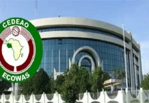 Economic Community of West African States suspends Guinea-Bissau after coup