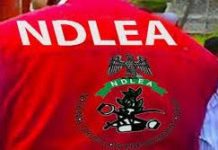 National Drug Law Enforcement Agency raises alarm over circulation of fake medicinal cannabis