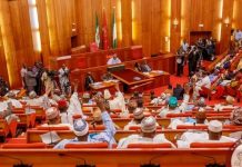Senate Moves To Phase Out Petrol Cars, Mulls Electric Vehicle Bill